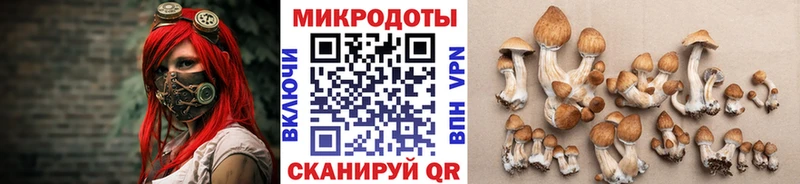 Псилоцибиновые грибы Cubensis  Яранск 